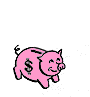 animation-pig-color.gif (12112 bytes)