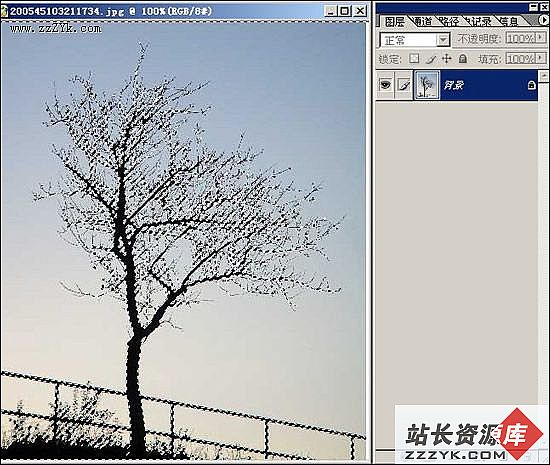 Photoshop精彩实例：树类图的四种抠法
