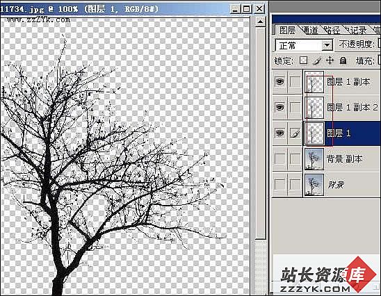 Photoshop精彩实例：树类图的四种抠法
